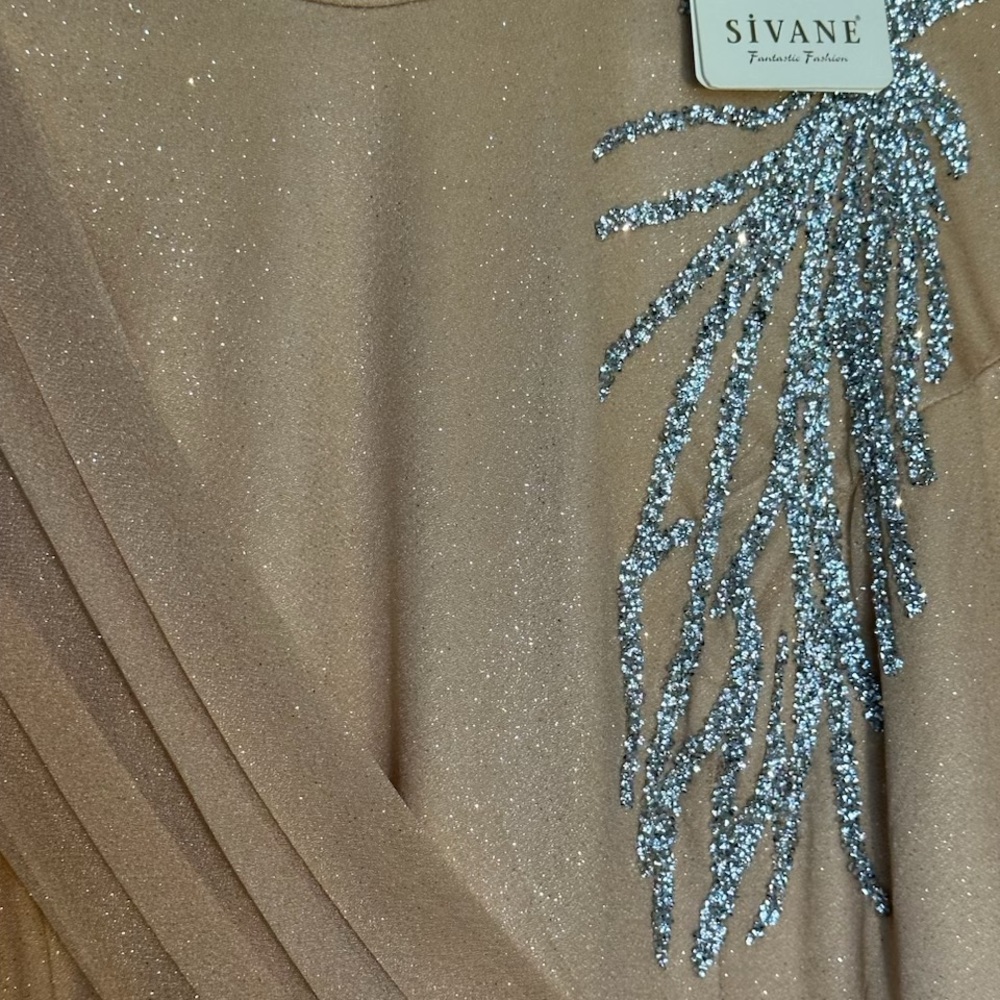 Sivane Tan Dress with Silver Embellishments